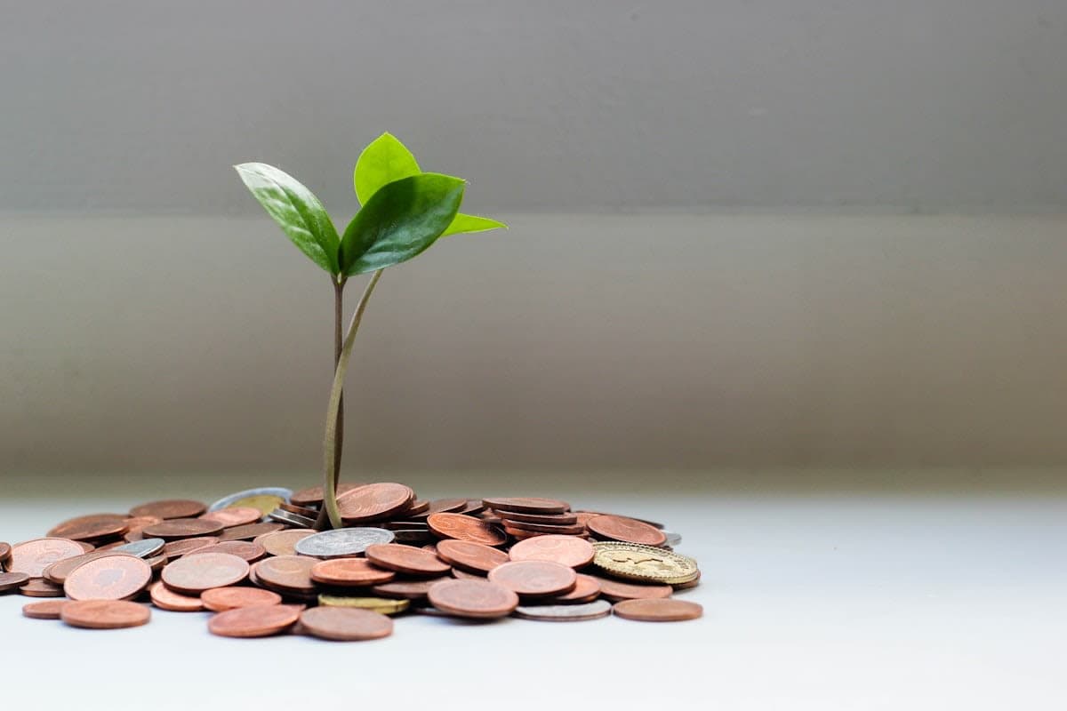 Förderung und Finanzierung eines Kassensystems